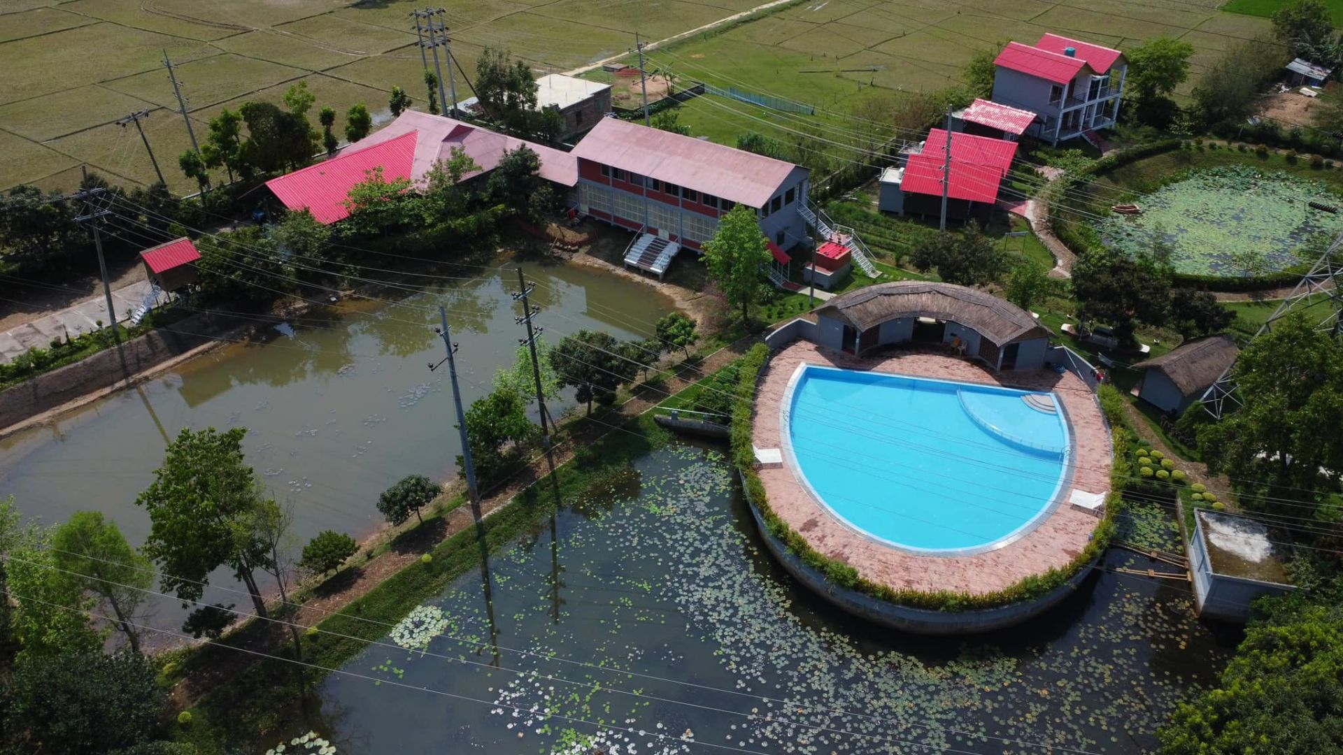 waterlilly resort