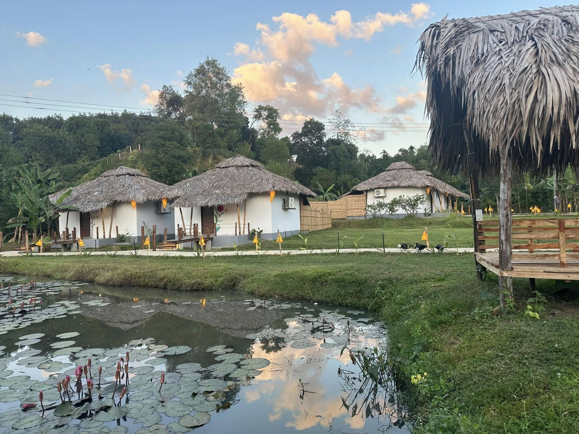 doholiz resort booking sreemangal