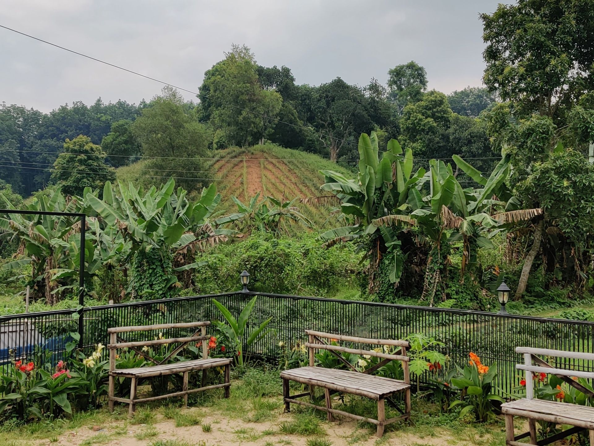 doholiz resort booking sreemangal