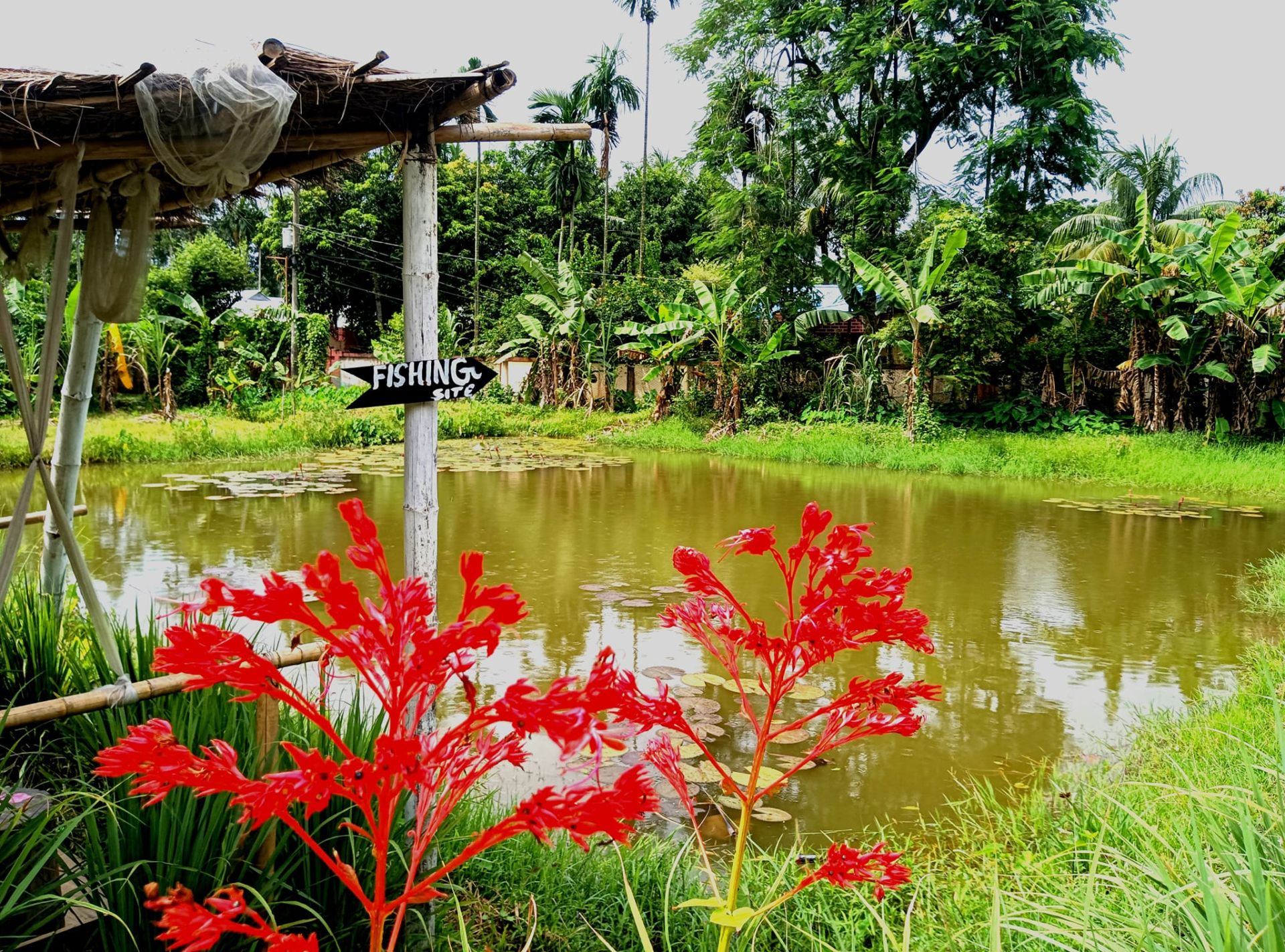 কাদামাটির ঘর শ্রীমঙ্গল