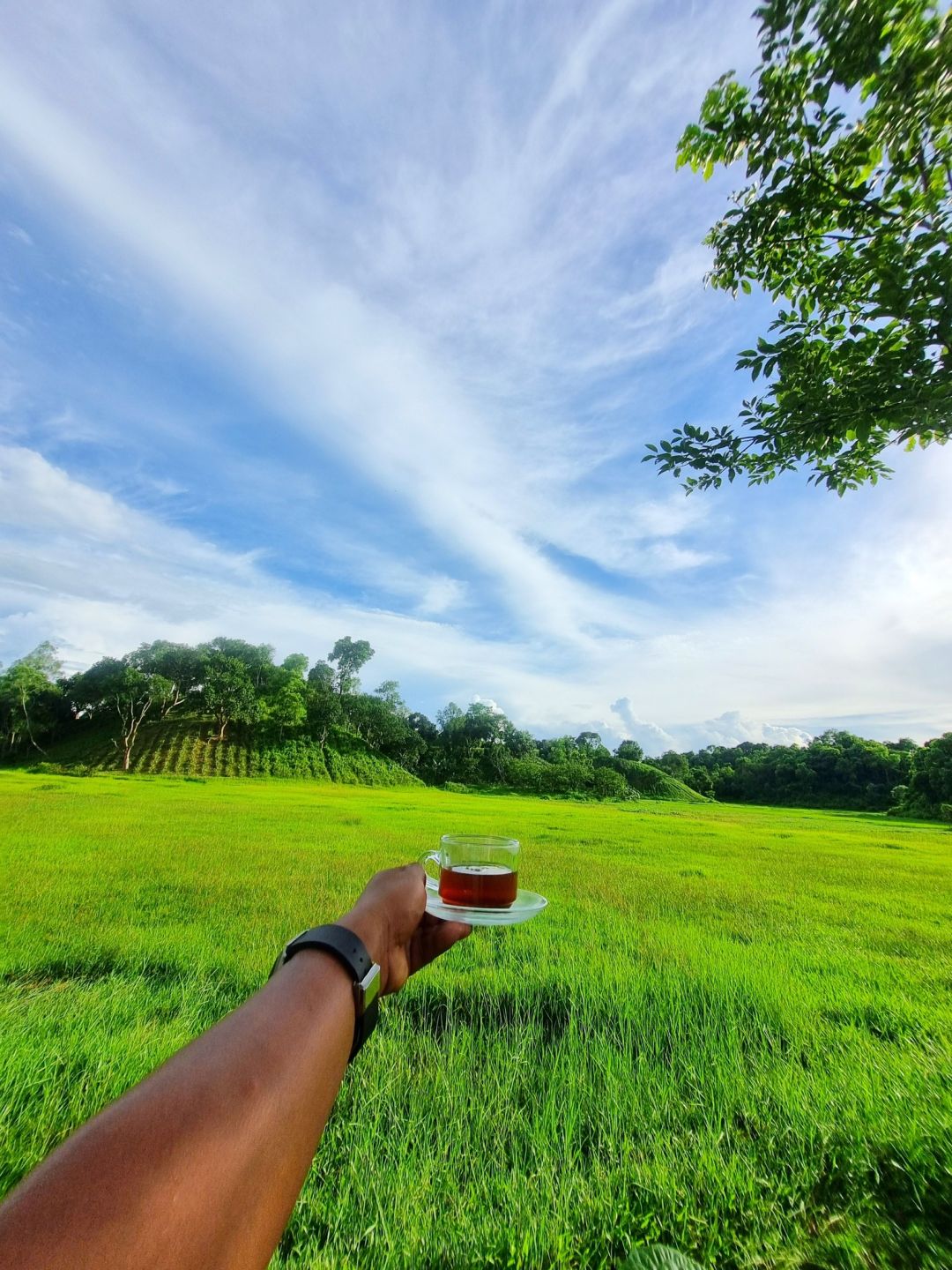 siari resort sreemangal