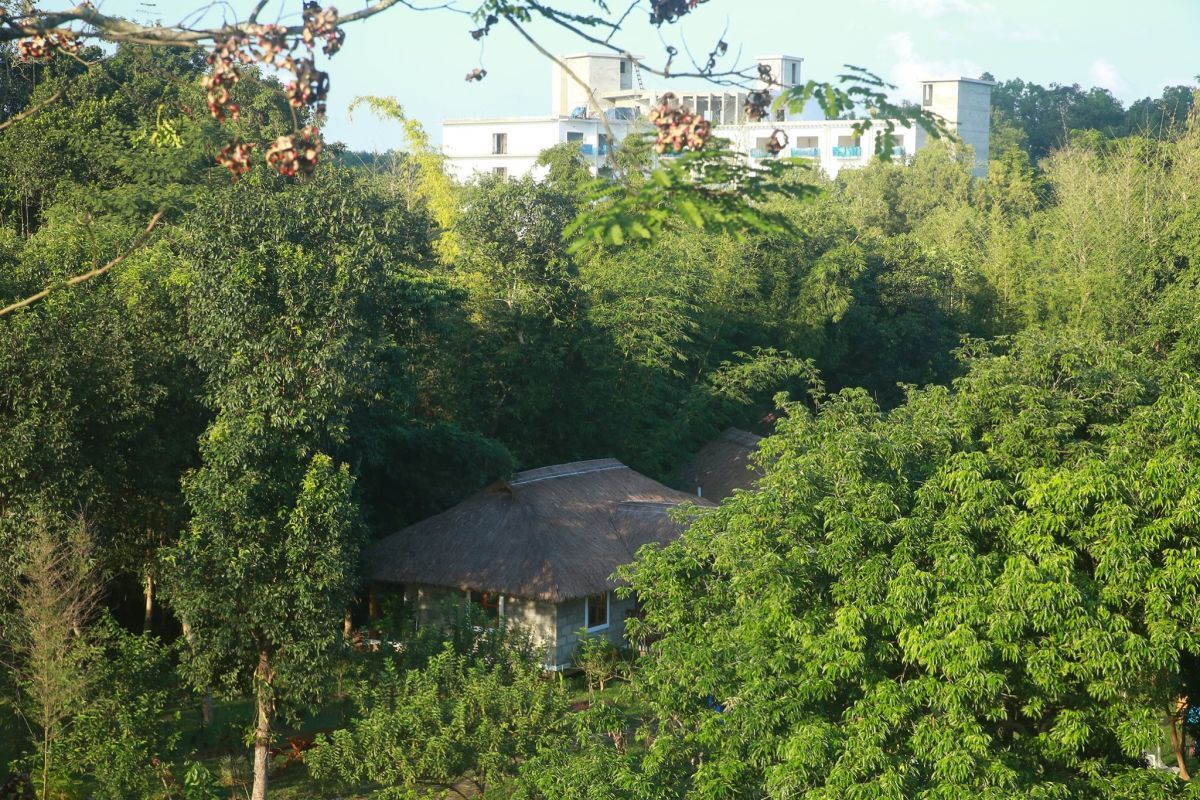 বালিশিরা শ্রীমঙ্গল