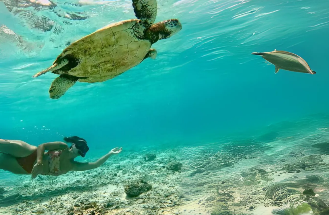 mafushi activity