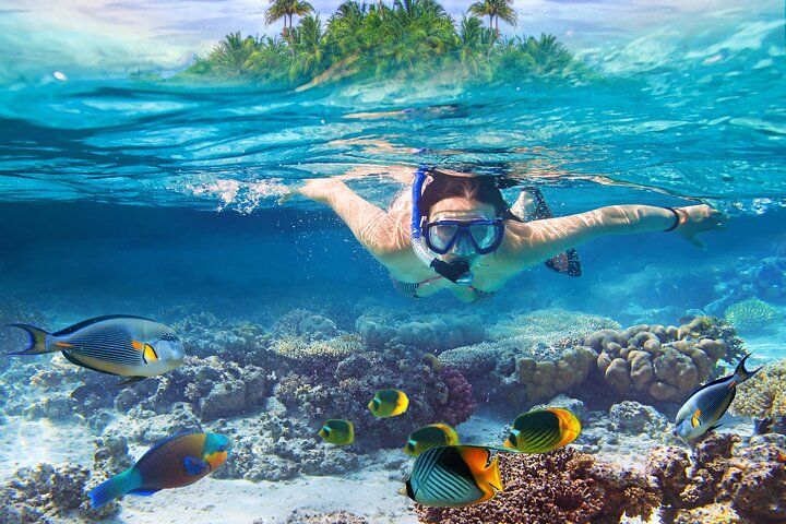 pattaya skuba diving snorkeling