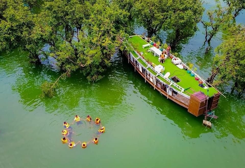 harmony of tangua