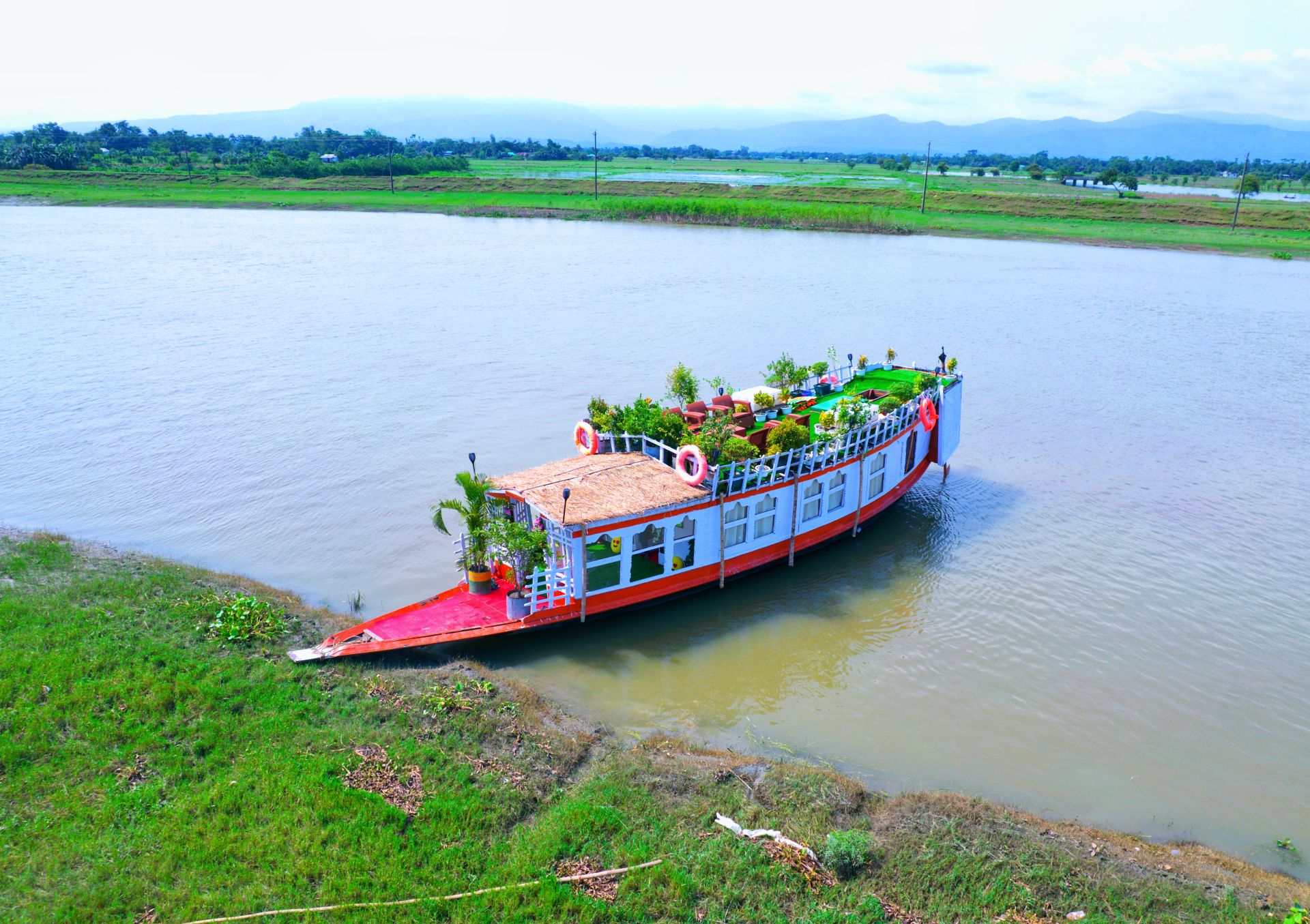 majestic tangua